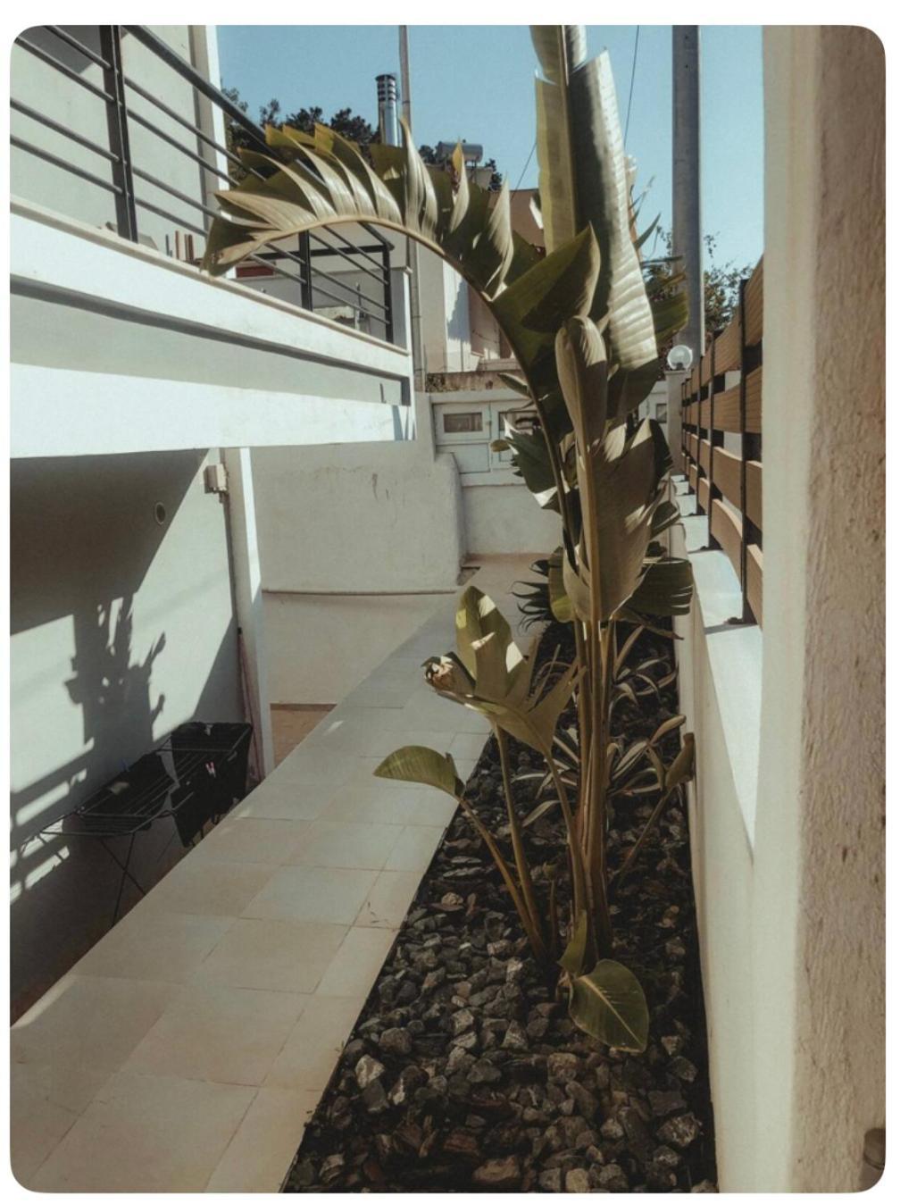 Rosemary Modern House In The City Center Corinto Exterior foto